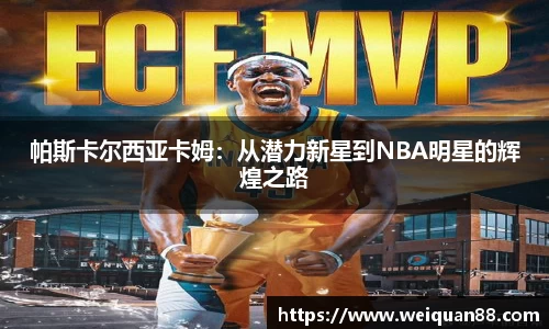 emc体育官方下载